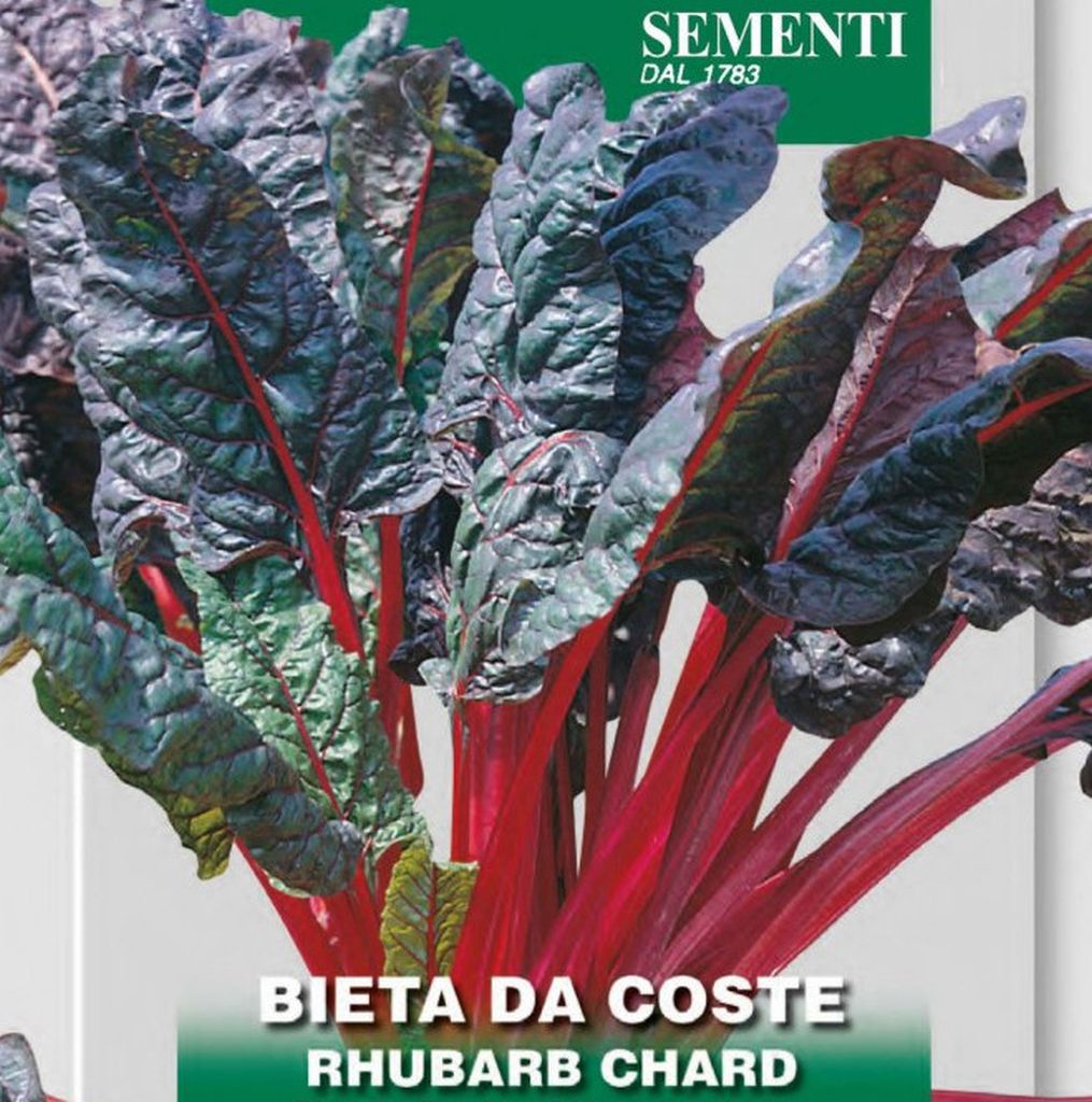 Samen Mangold, Beta vulgaris Rhubarb Chard, Bieta da Coste, L., Franchi Sementi