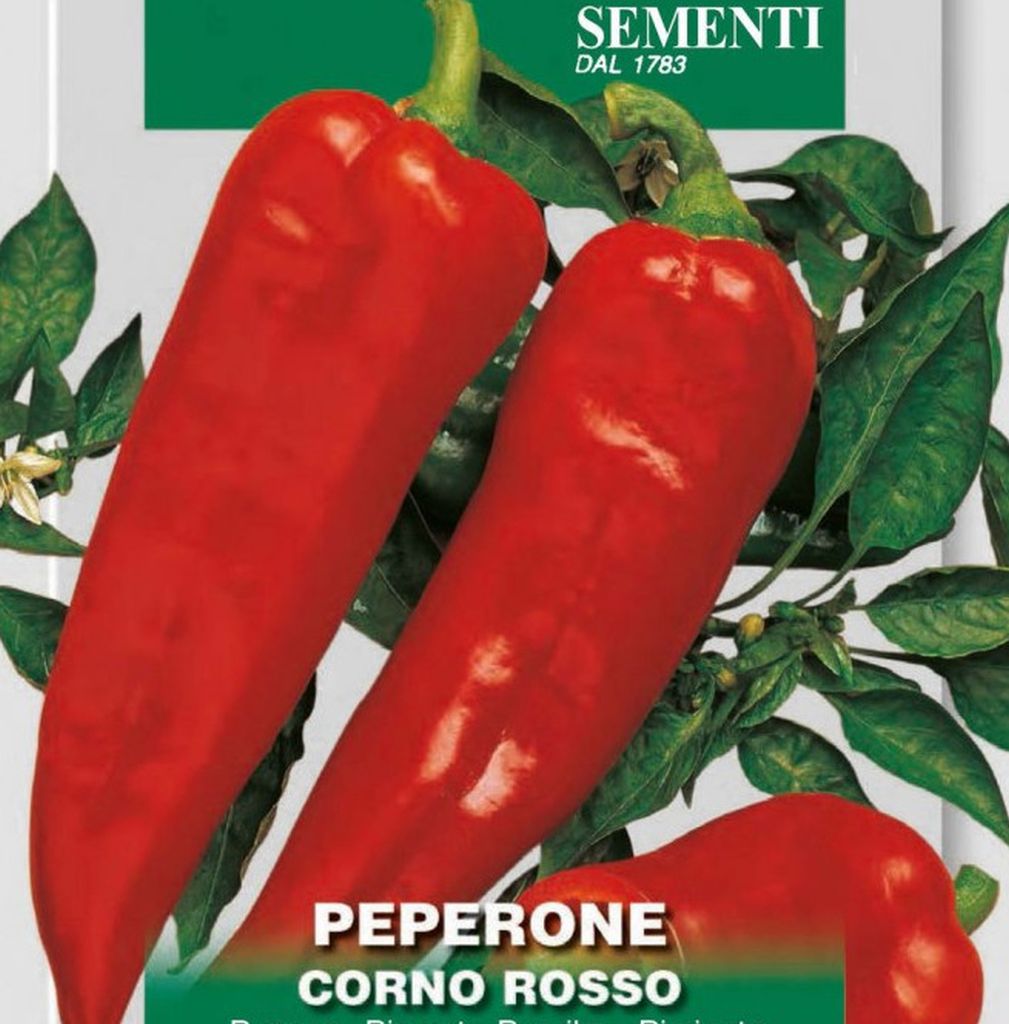 Samen Paprika, Peperone Corno Rosso, Capsicum annuuum L. , Franchi Sementi