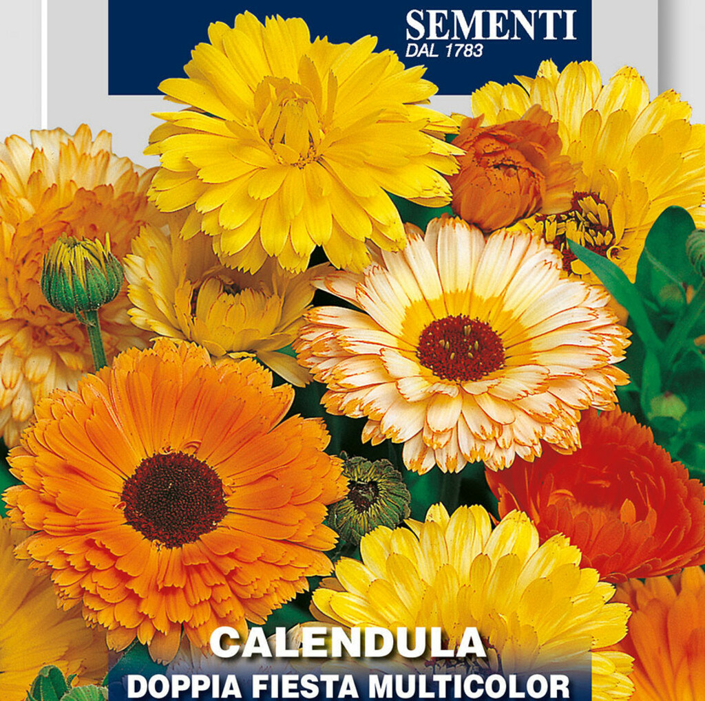 Samen Ringelblume Doppia Fiesta Multicolor, Calendula officinalis, Franchi